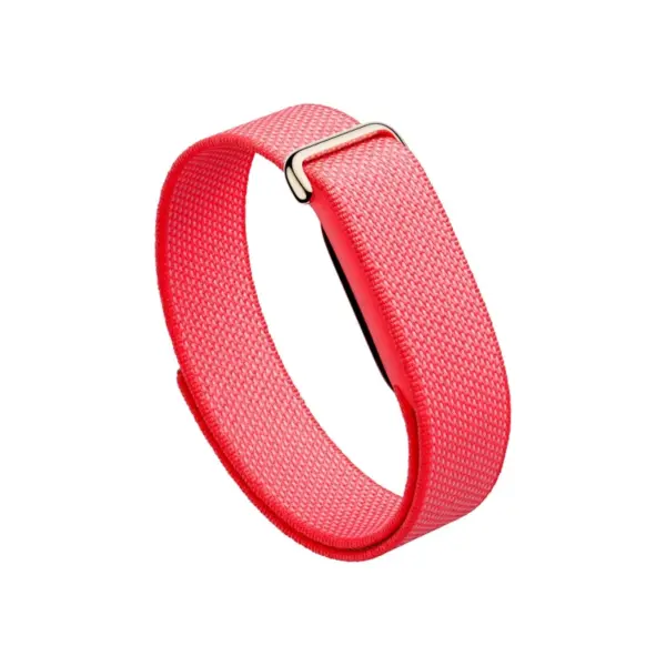 Google Fitbit Air